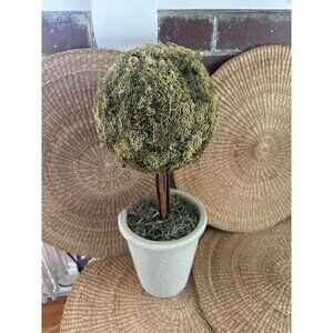 Moss Topiary Tree faux plant